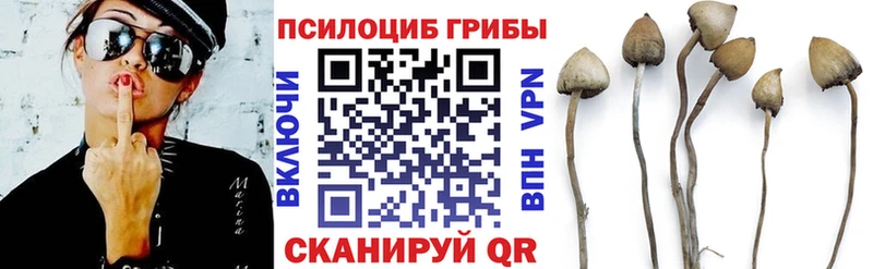 Купить  Туапсе  Галлюциногенные грибы мухоморы 